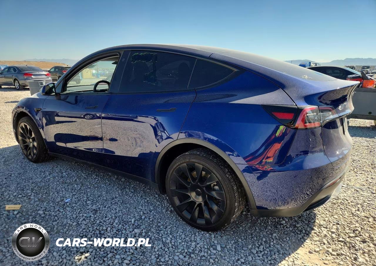 2022 Tesla Model Y VIN:7SAYGDEEXNA020999 - 2