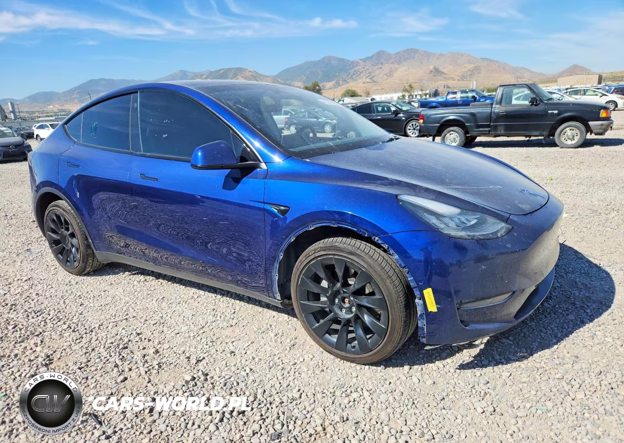 2022 Tesla Model Y VIN:7SAYGDEEXNA020999 - 4