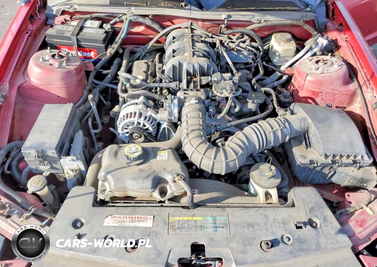 2008 Ford Mustang VIN:1ZVHT80N485107634 - 11
