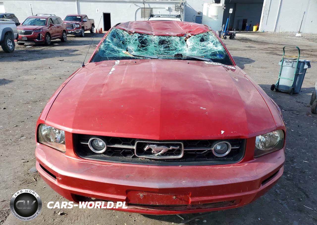 2008 Ford Mustang VIN:1ZVHT80N485107634 - 5