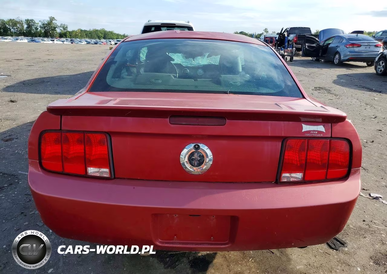 2008 Ford Mustang VIN:1ZVHT80N485107634 - 6