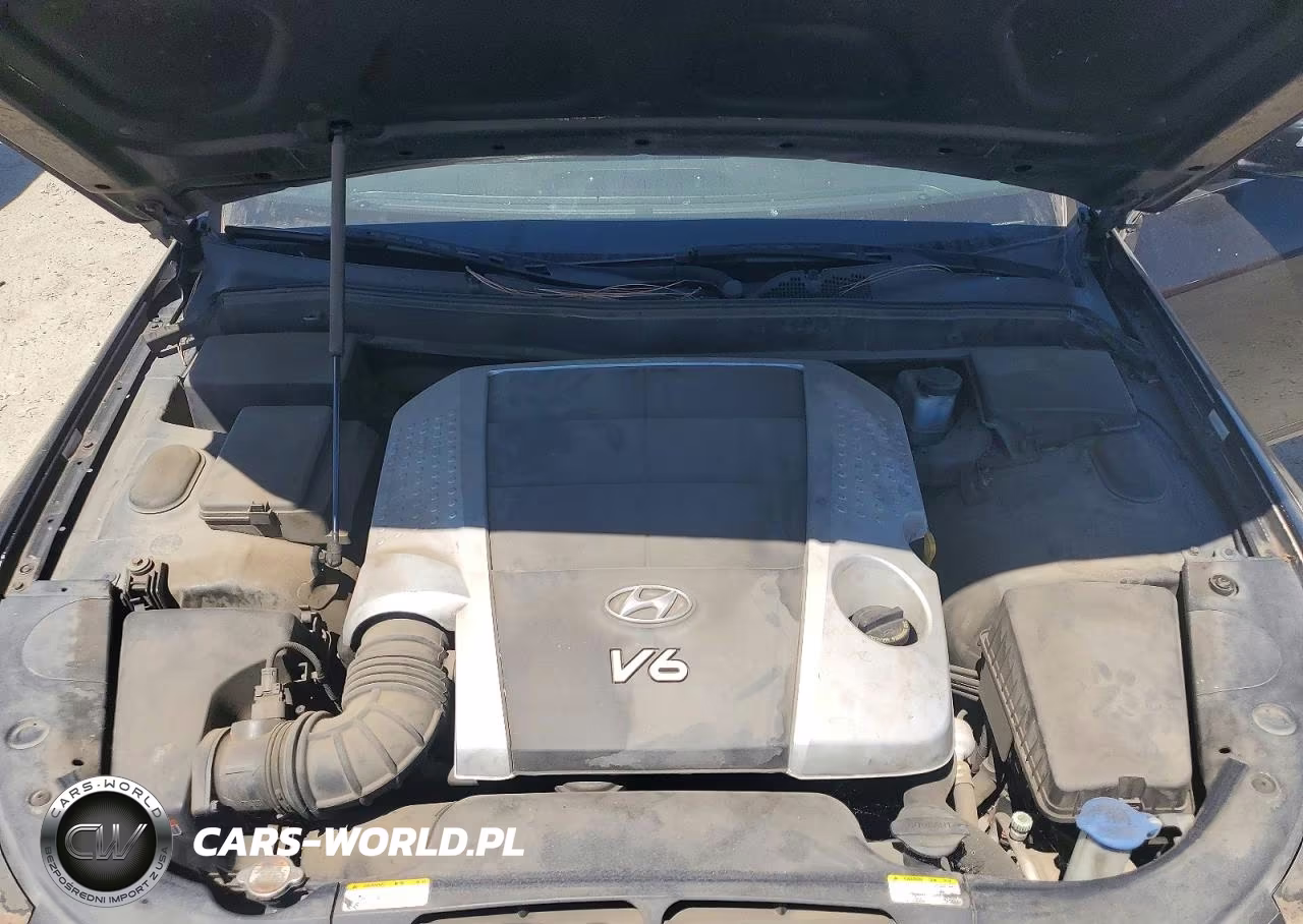 2010 Hyundai Genesis 3.8L VIN:KMHGC4DE5AU074393 - 11