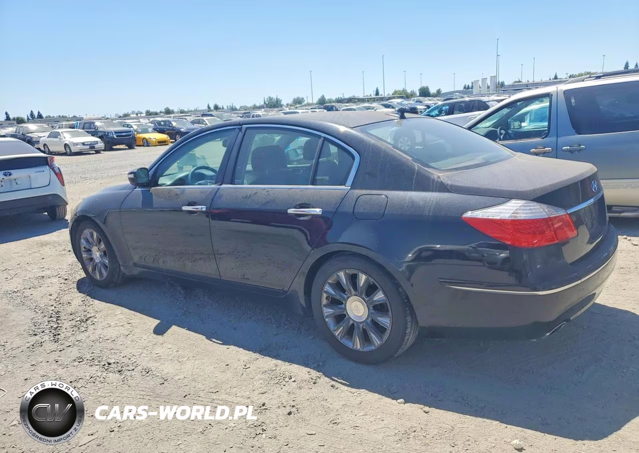 2010 Hyundai Genesis 3.8L VIN:KMHGC4DE5AU074393 - 2
