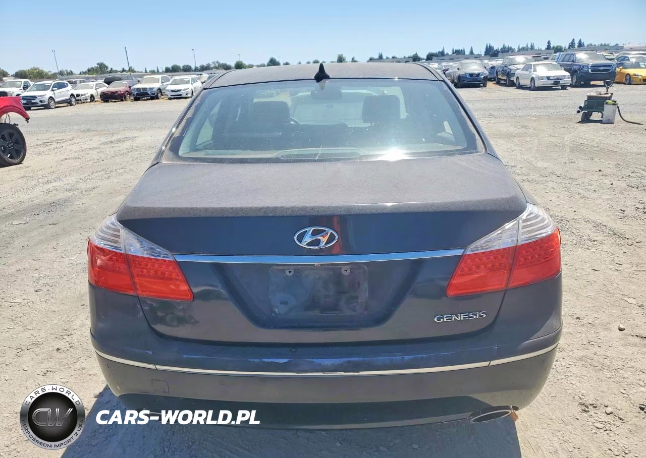 2010 Hyundai Genesis 3.8L VIN:KMHGC4DE5AU074393 - 6