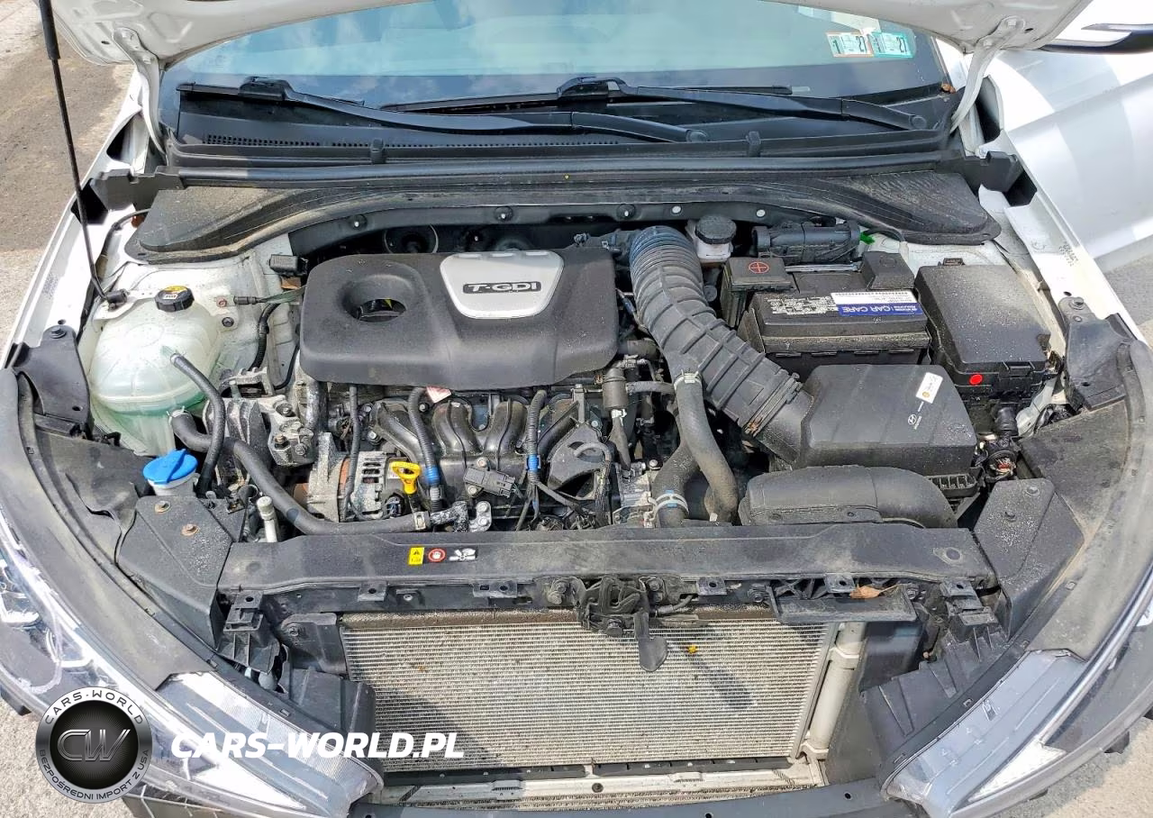 2019 Hyundai Elantra Sport VIN:KMHD04LB8KU814586 - 11