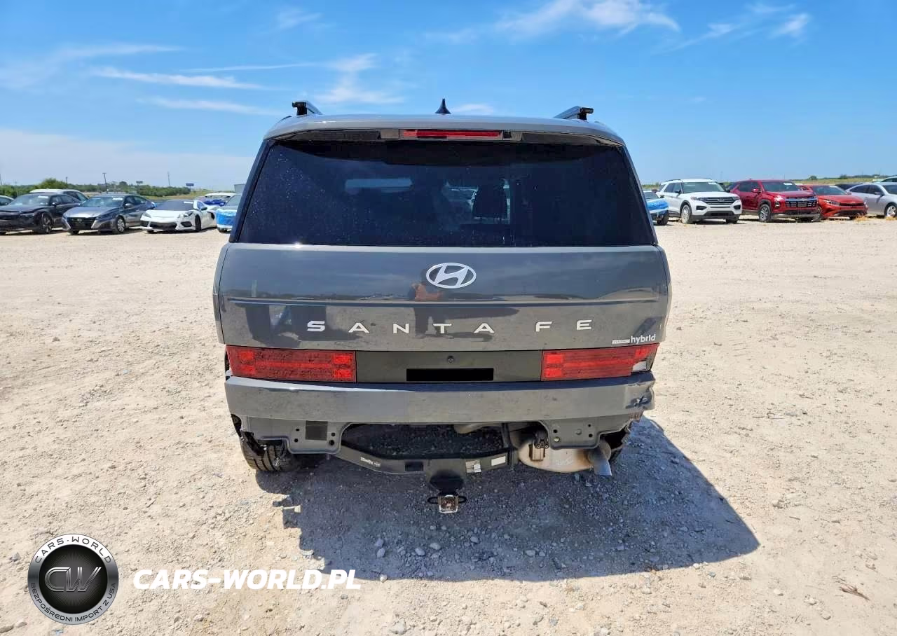 2025 Hyundai Santa Fe Sel VIN:5NMP2DG10SH041195 - 6