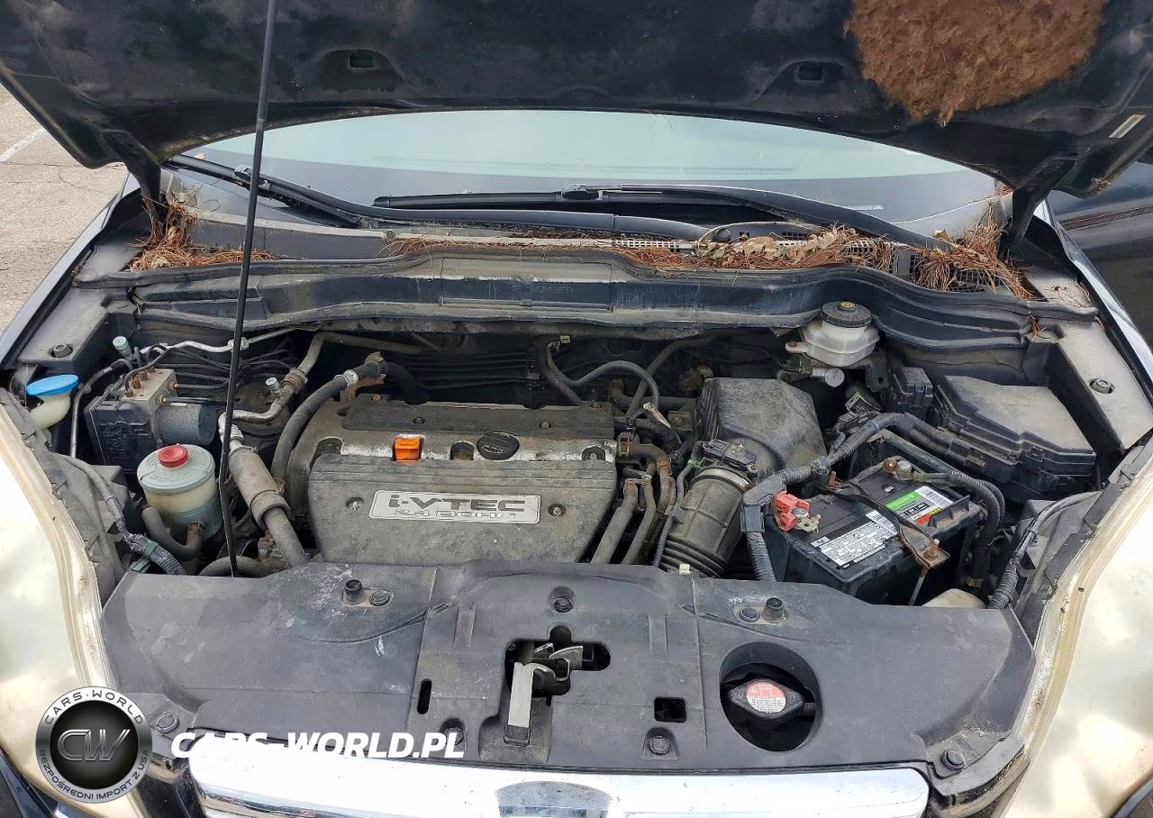 2007 Honda Cr-V Exl VIN:JHLRE48777C122206 - 12
