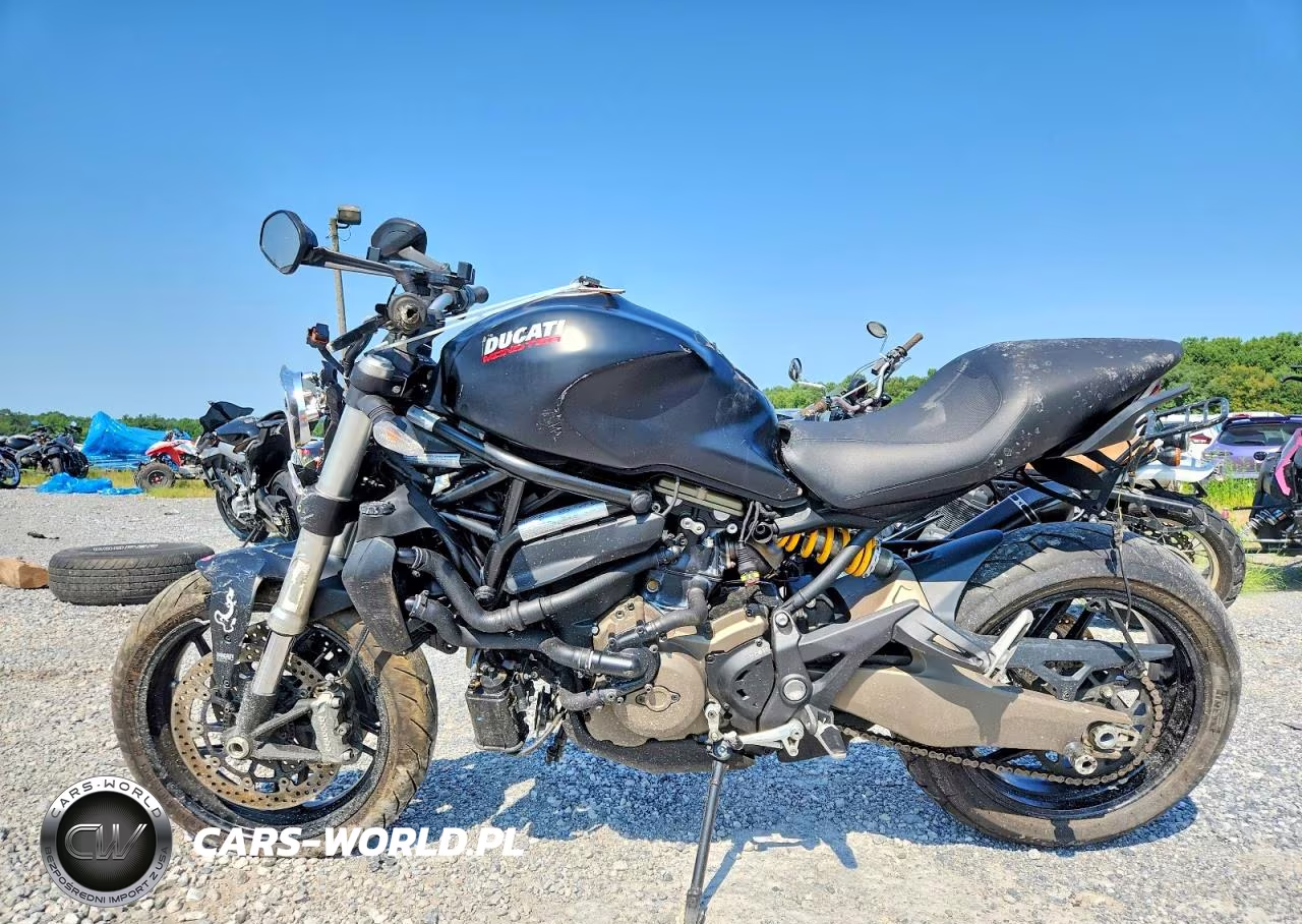 2015 Ducati Monster 821 VIN:ZDM1RBTS0FB011777 - 3