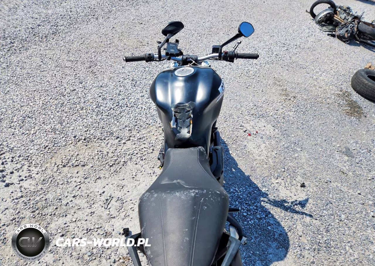 2015 Ducati Monster 821 VIN:ZDM1RBTS0FB011777 - 6