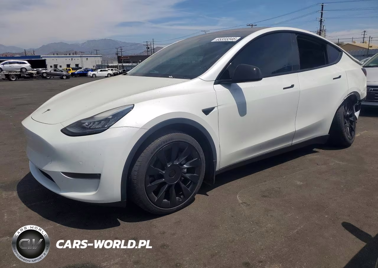 2020 Tesla Model Y