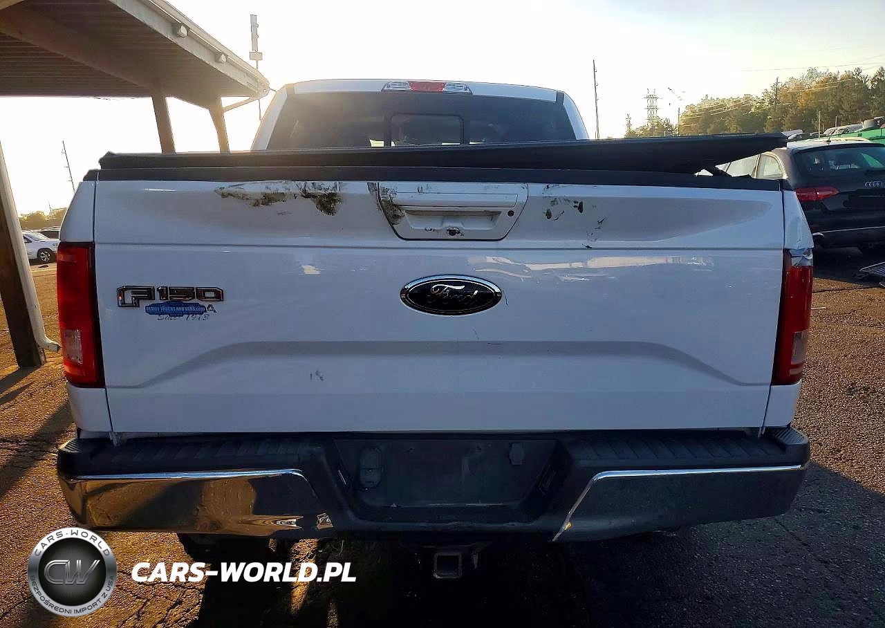 2017 Ford F150 Supercrew VIN:1FTEW1EG1HKD12067 - 6