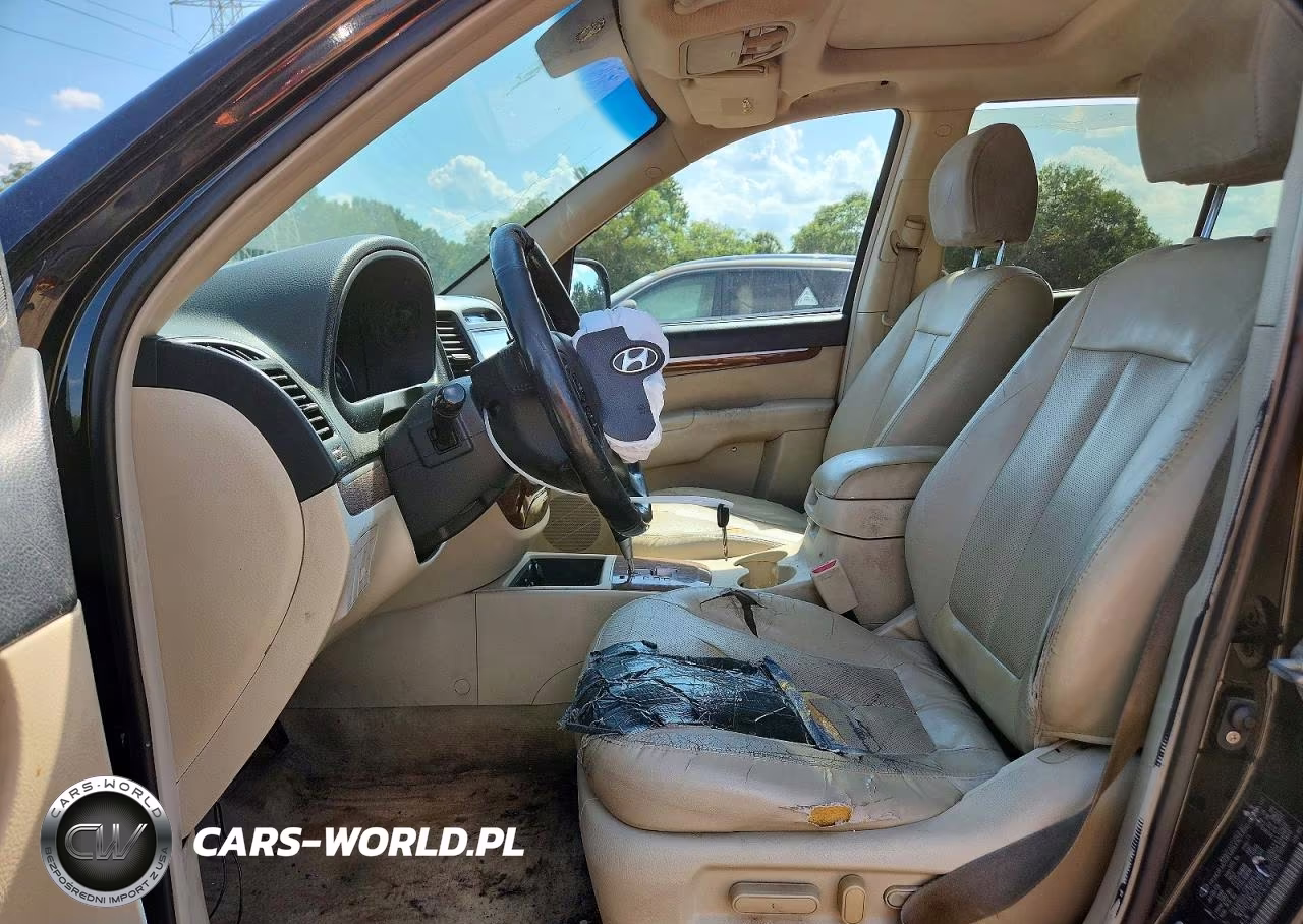 2009 Hyundai Santa Fe Limited VIN:5NMSH13E29H297753 - 7