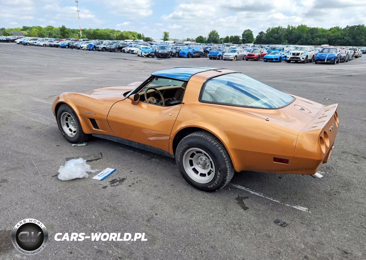 1982 Chevrolet Corvette VIN:1G1AY8781C5109705 - 2