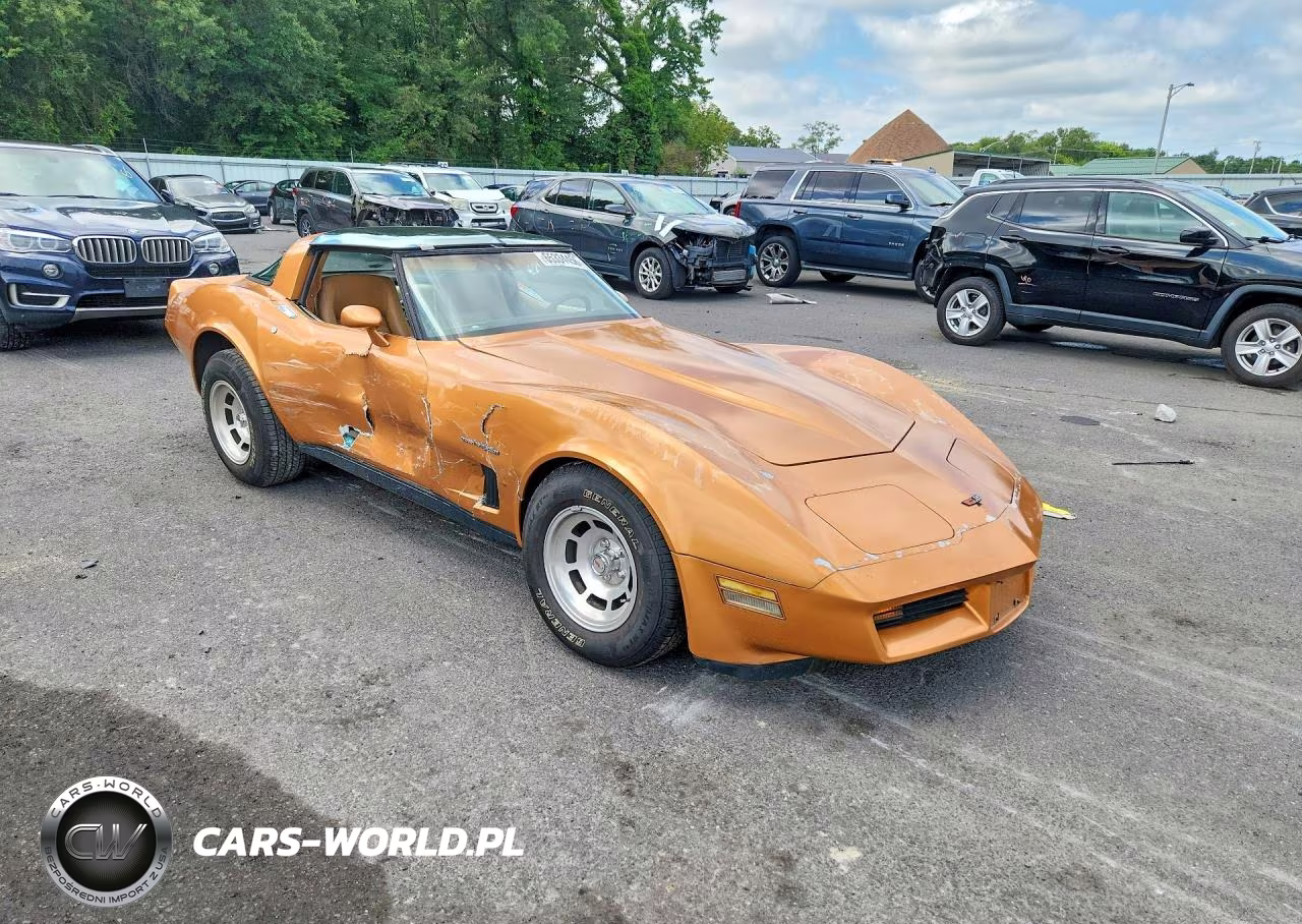 1982 Chevrolet Corvette VIN:1G1AY8781C5109705 - 4