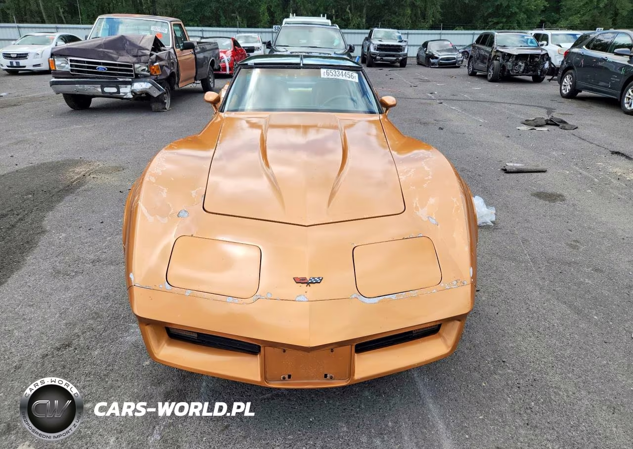 1982 Chevrolet Corvette VIN:1G1AY8781C5109705 - 5