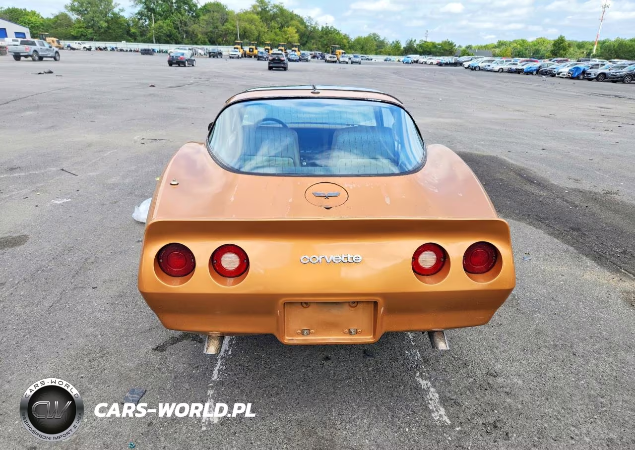 1982 Chevrolet Corvette VIN:1G1AY8781C5109705 - 6