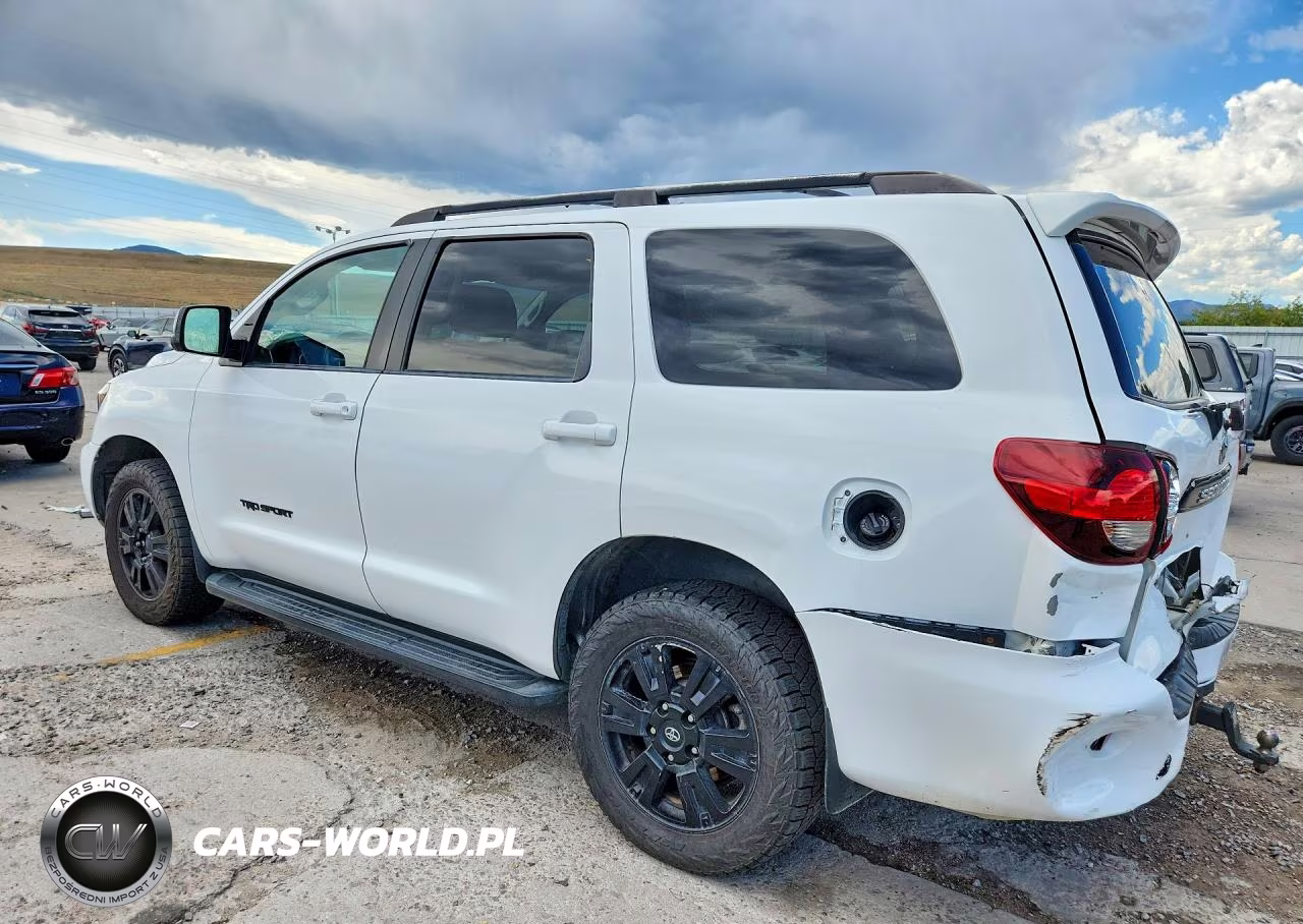 2018 Toyota Sequoia Trd Sport VIN:5TDBY5G14JS160264 - 2