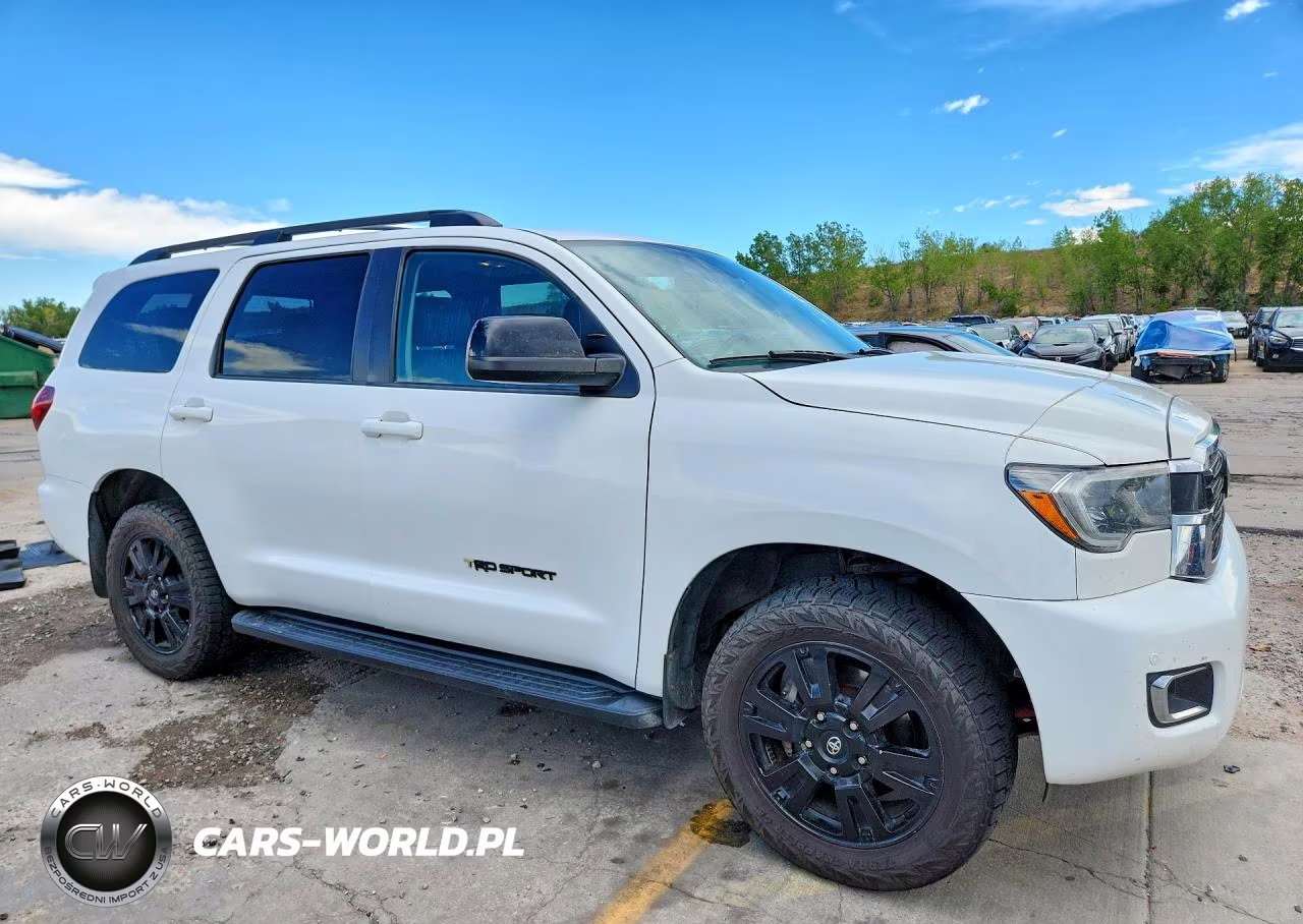2018 Toyota Sequoia Trd Sport VIN:5TDBY5G14JS160264 - 4
