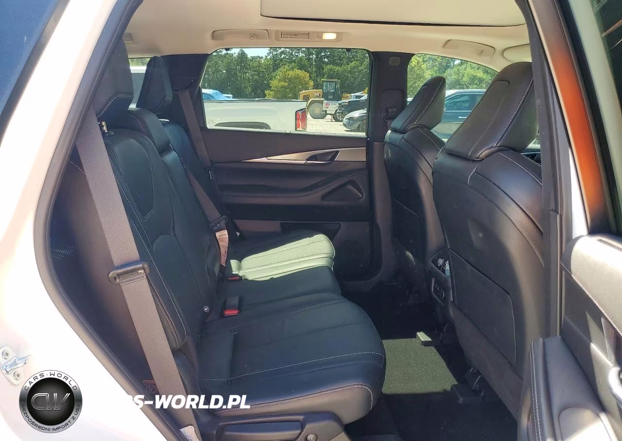 2023 Infiniti Qx60 Luxe VIN:5N1DL1FR8PC370282 - 11