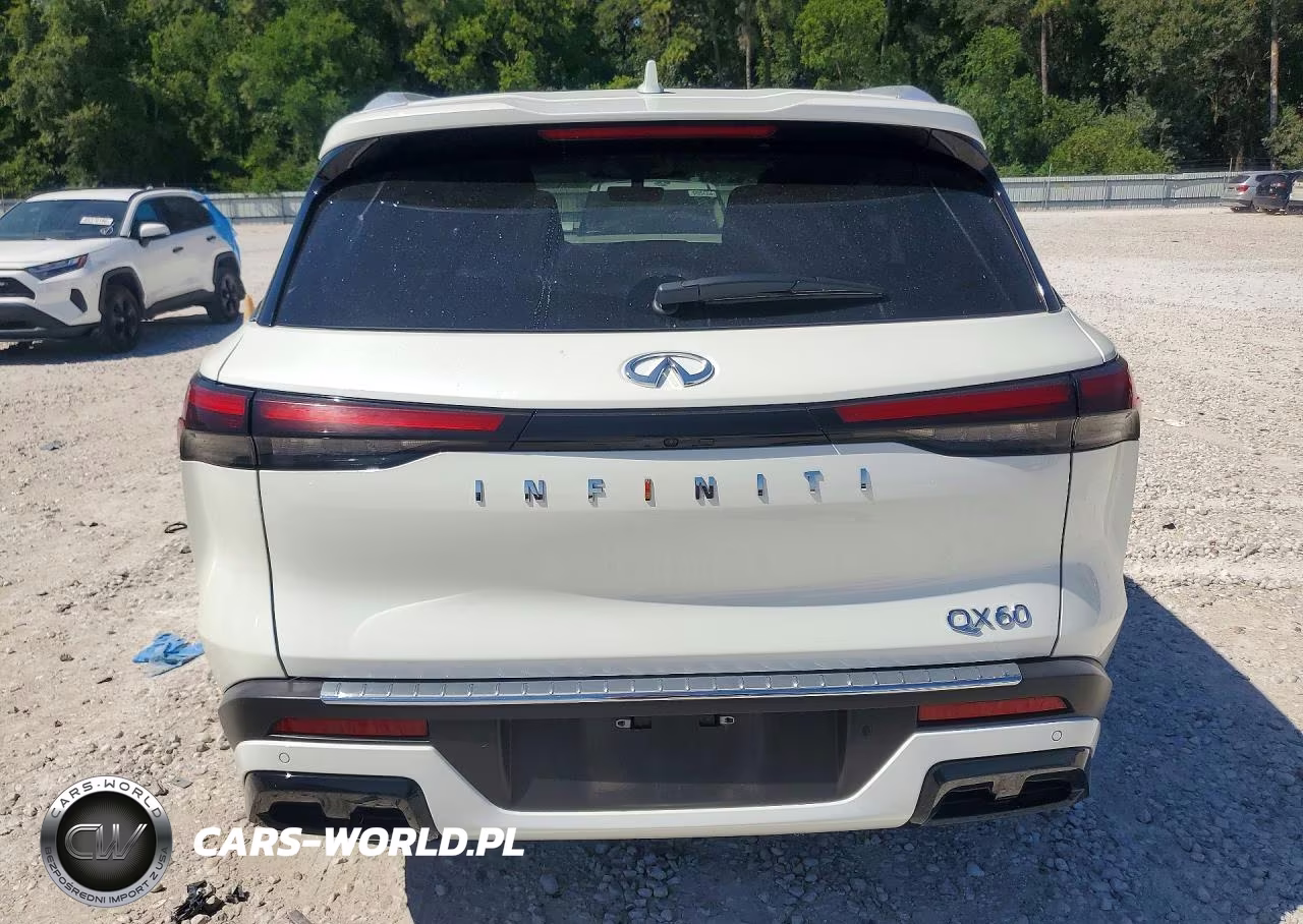2023 Infiniti Qx60 Luxe VIN:5N1DL1FR8PC370282 - 6