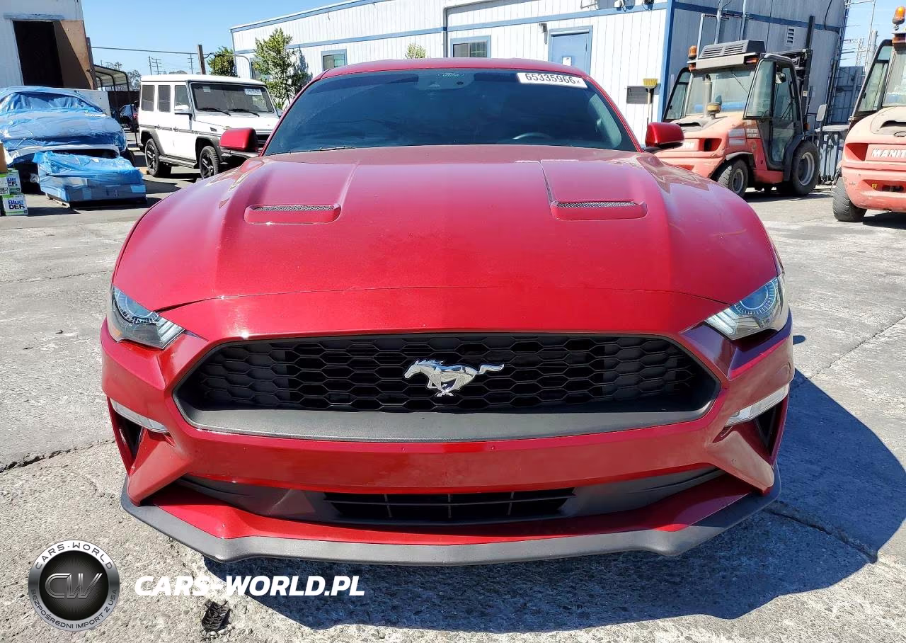 2020 Ford Mustang Gt VIN:1FA6P8CF0L5146609 - 5