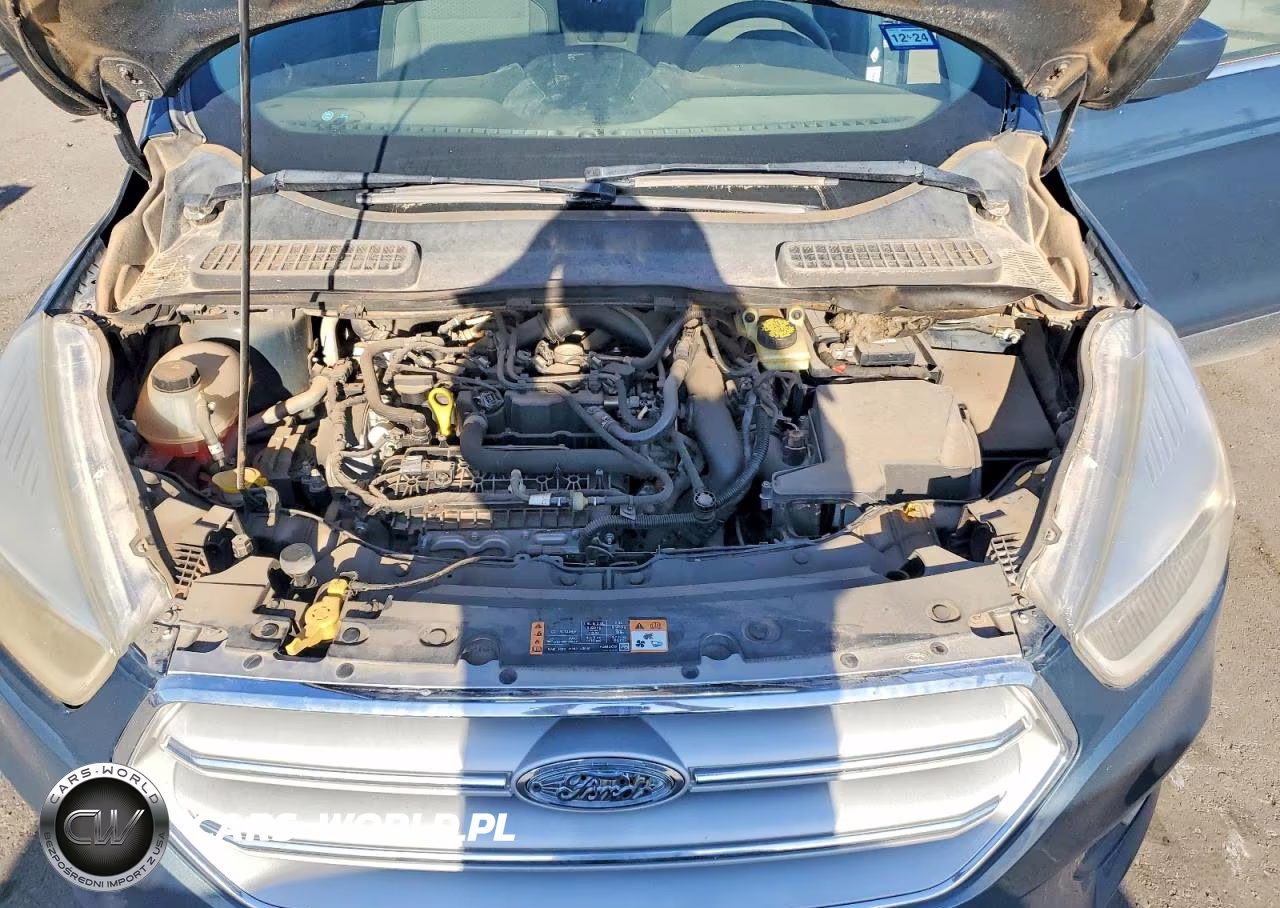 2019 Ford Escape Se VIN:1FMCU0GD7KUB13235 - 12