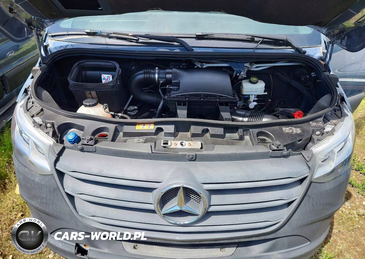 2019 Mercedes Benz Sprinter 2500 Delivery Van VIN:WD4PF1CD7KT012395 - 24