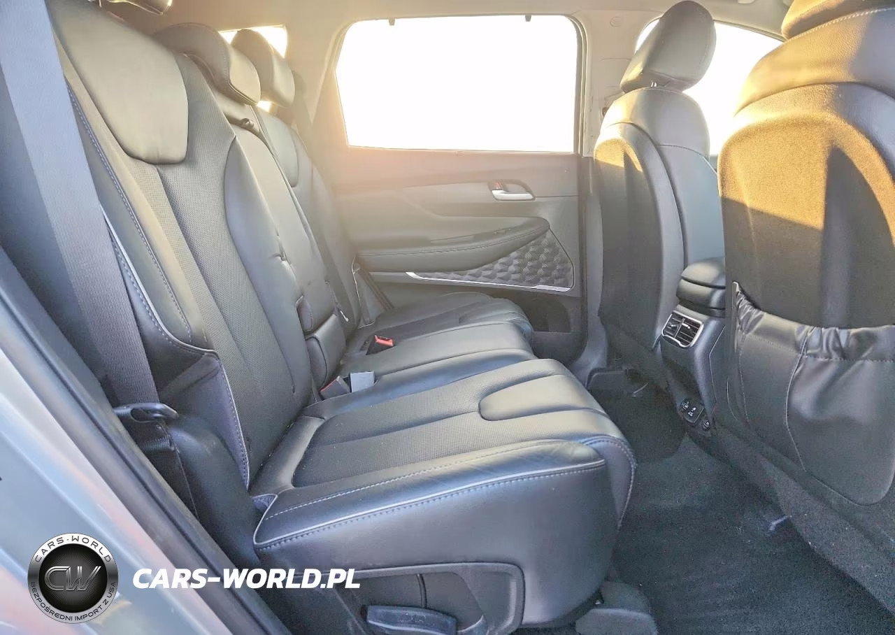 2021 Hyundai Santa Fe Limited VIN:5NMS4DAL2MH341547 - 11