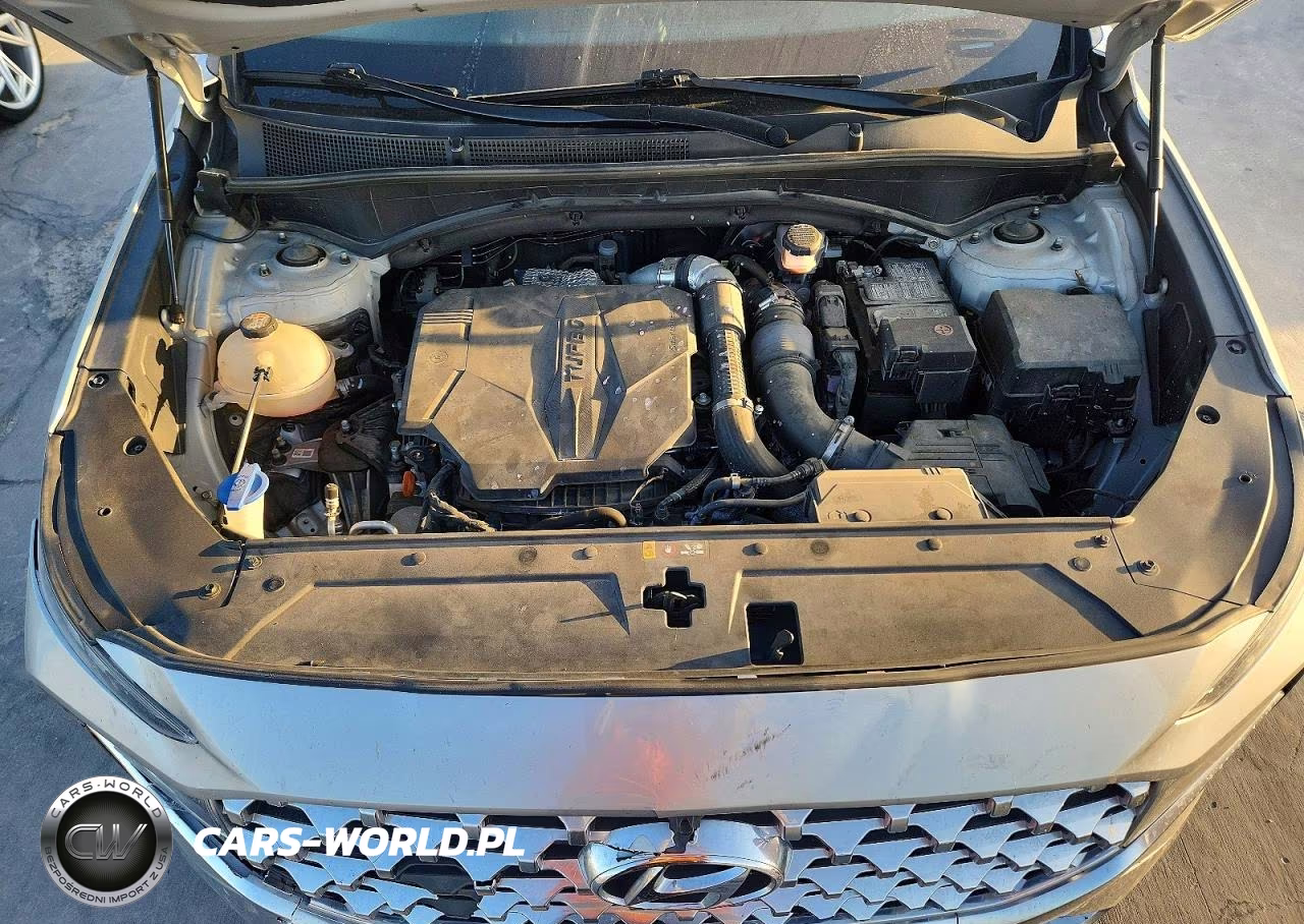 2021 Hyundai Santa Fe Limited VIN:5NMS4DAL2MH341547 - 12