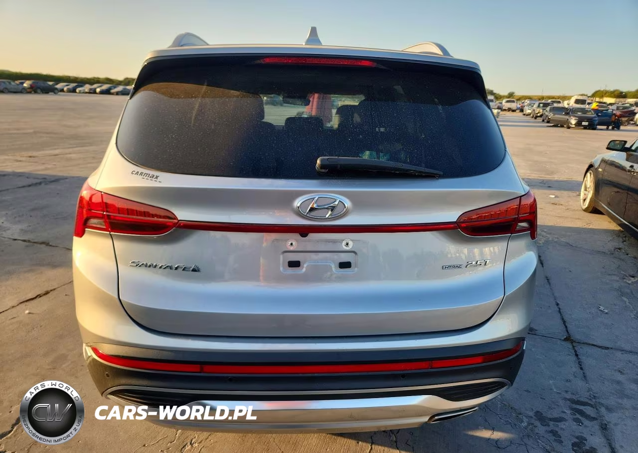 2021 Hyundai Santa Fe Limited VIN:5NMS4DAL2MH341547 - 6