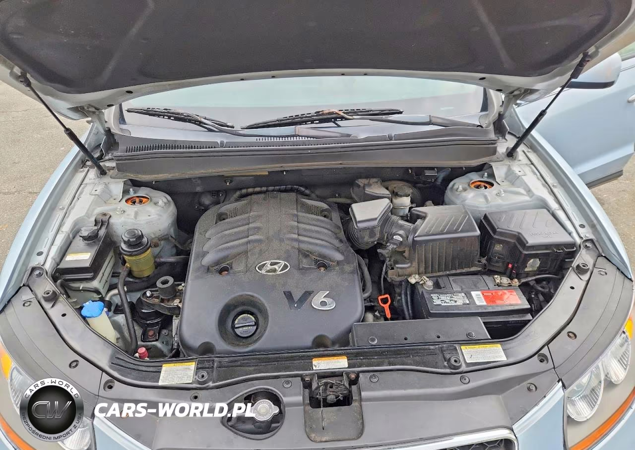 2007 Hyundai Santa Fe Se VIN:5NMSH73E57H110554 - 12
