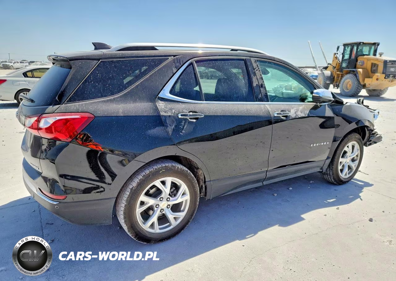 2019 Chevrolet Equinox Premier VIN:3GNAXNEV8KL168774 - 3