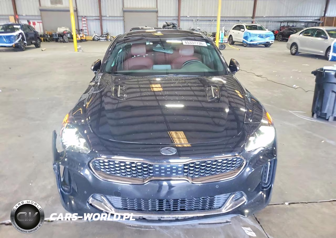 2020 Kia Stinger Gt1 VIN:KNAE45LC4L6071987 - 5