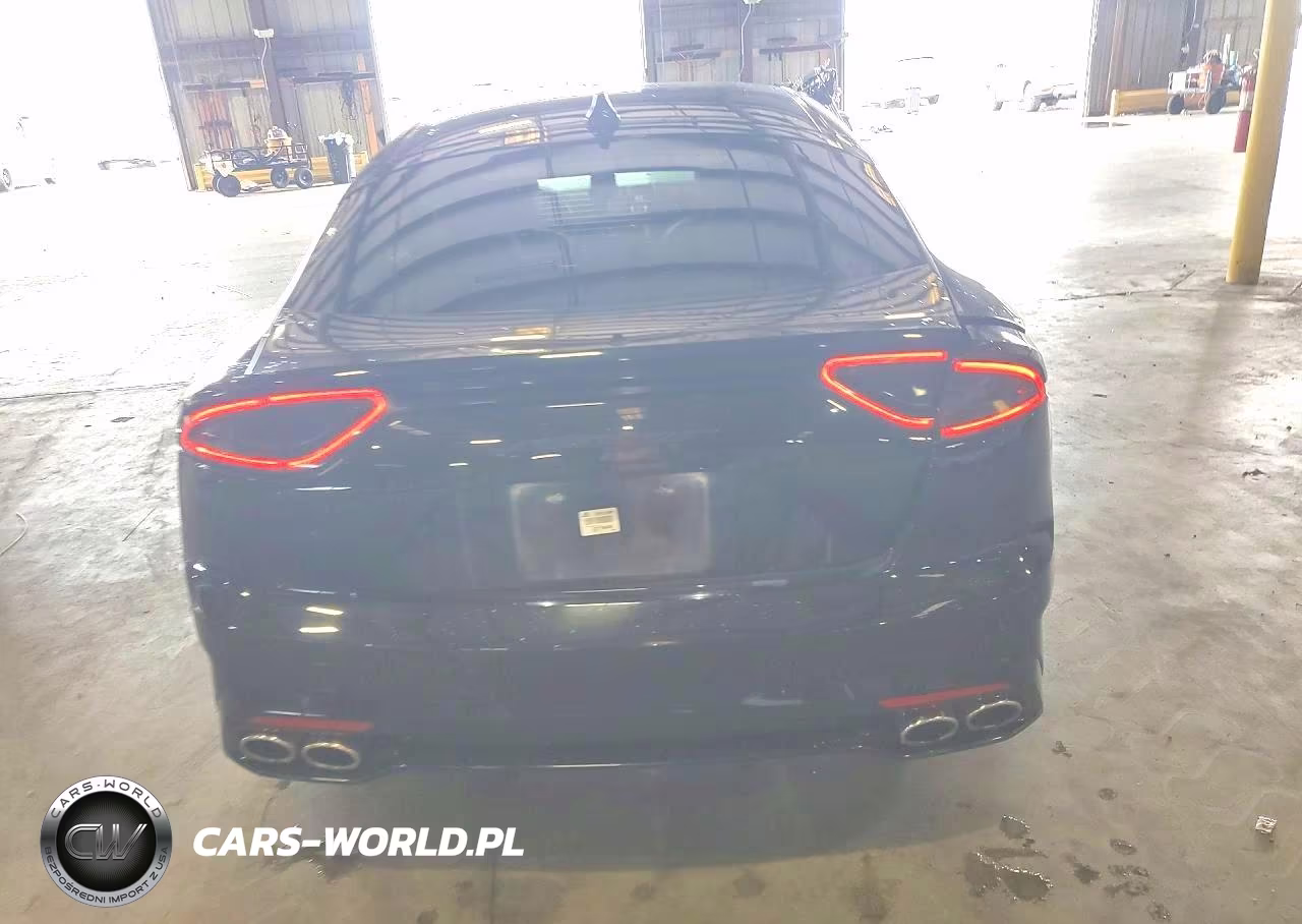 2020 Kia Stinger Gt1 VIN:KNAE45LC4L6071987 - 6