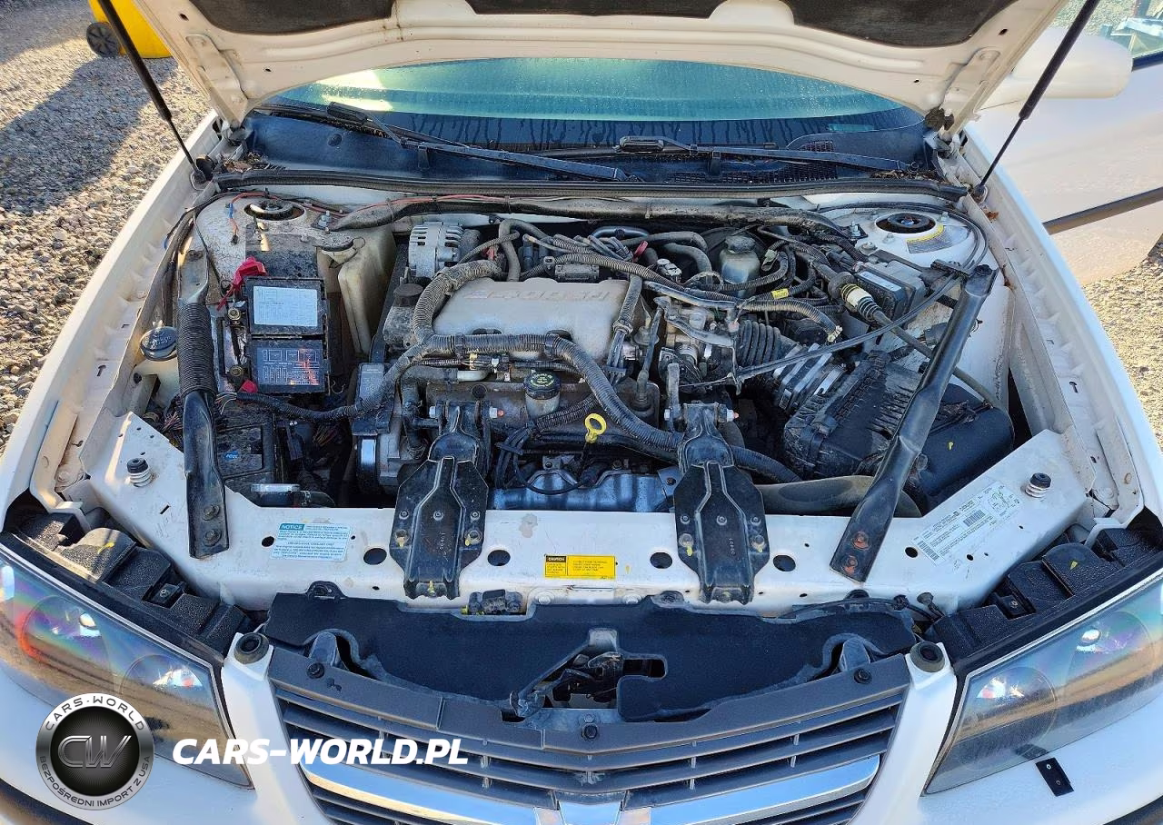 2001 Chevrolet Impala VIN:2G1WF55E219289926 - 11