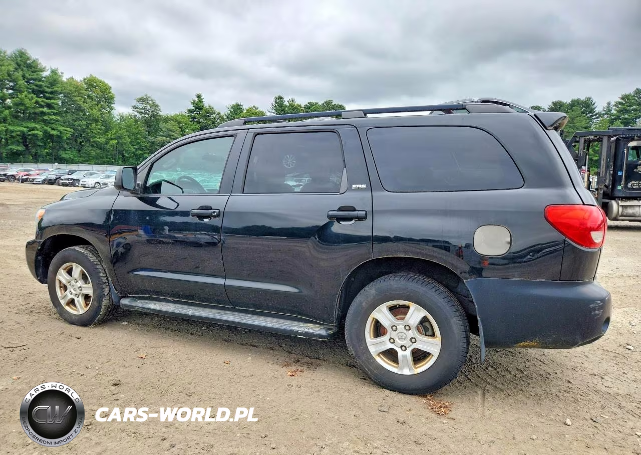 2010 Toyota Sequoia Sr5 VIN:5TDBW5G14AS029048 - 2