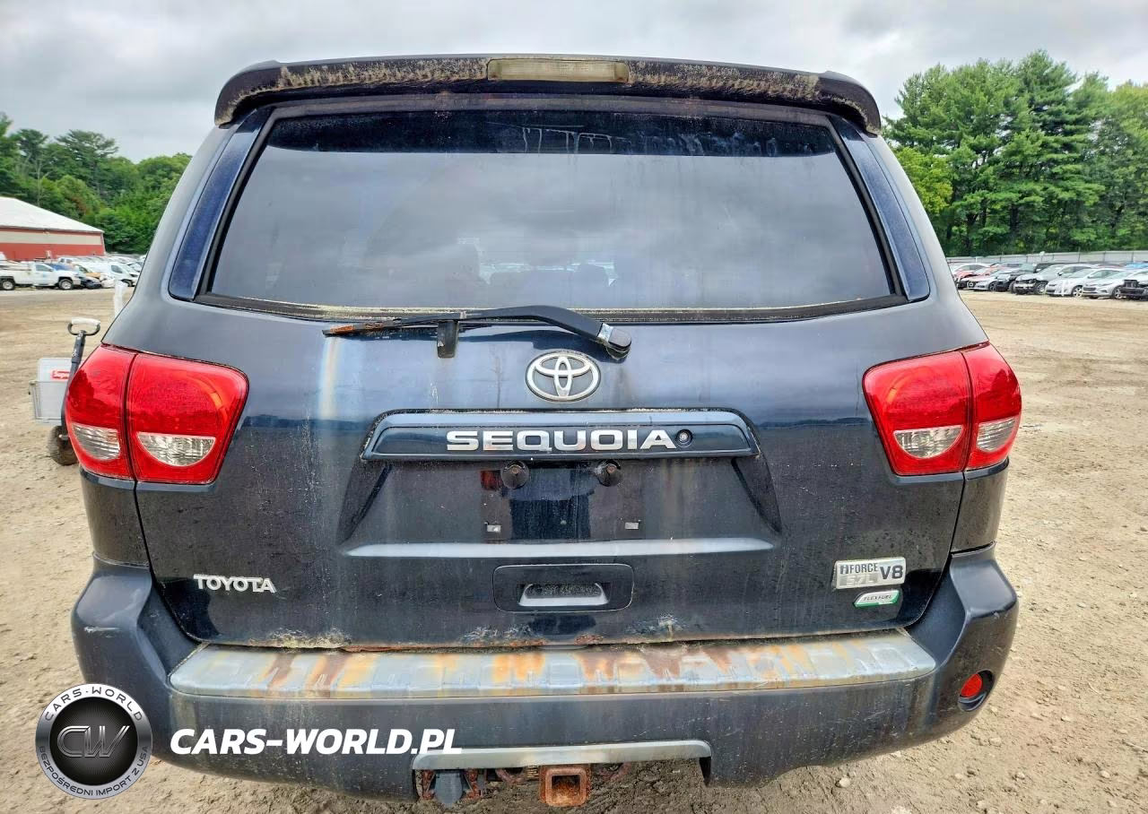 2010 Toyota Sequoia Sr5 VIN:5TDBW5G14AS029048 - 6