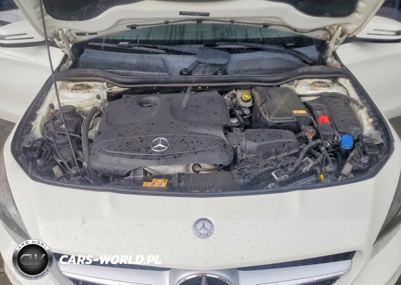 2015 Mercedes-Benz Cla 250 VIN:WDDSJ4EB6FN251646 - 11