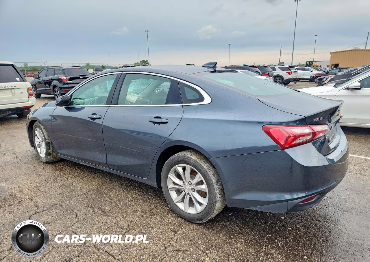 2019 Chevrolet Malibu Lt VIN:1G1ZD5ST2KF146246 - 2