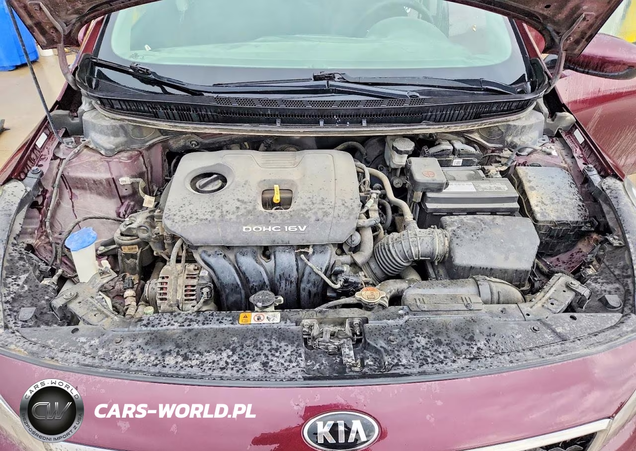 2017 Kia Forte Lx VIN:3KPFK4A71HE109500 - 11