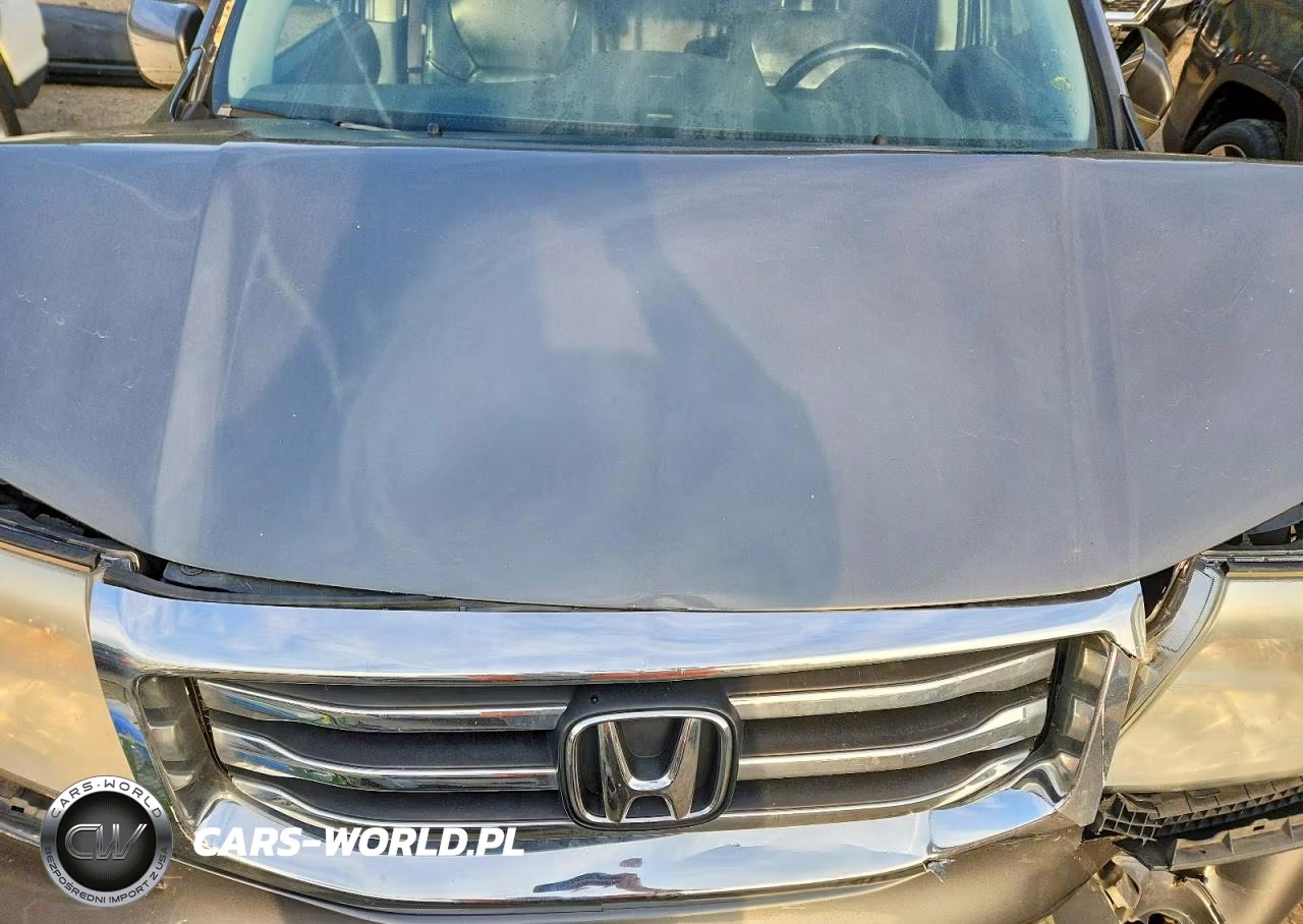2012 Honda Pilot Exl VIN:5FNYF4H52CB035766 - 12