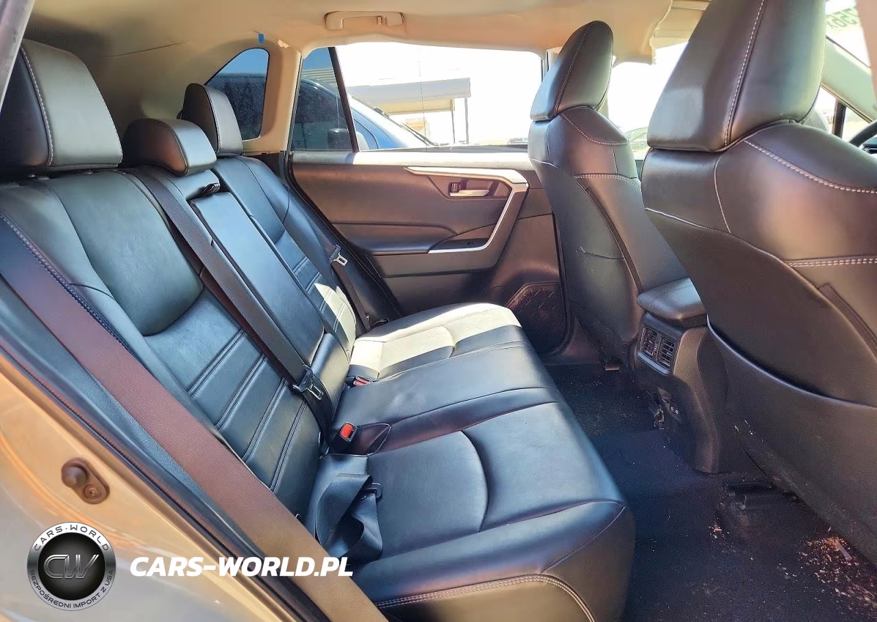 2023 Toyota Rav4 Xle Premium VIN:2T3C1RFV7PW284962 - 10