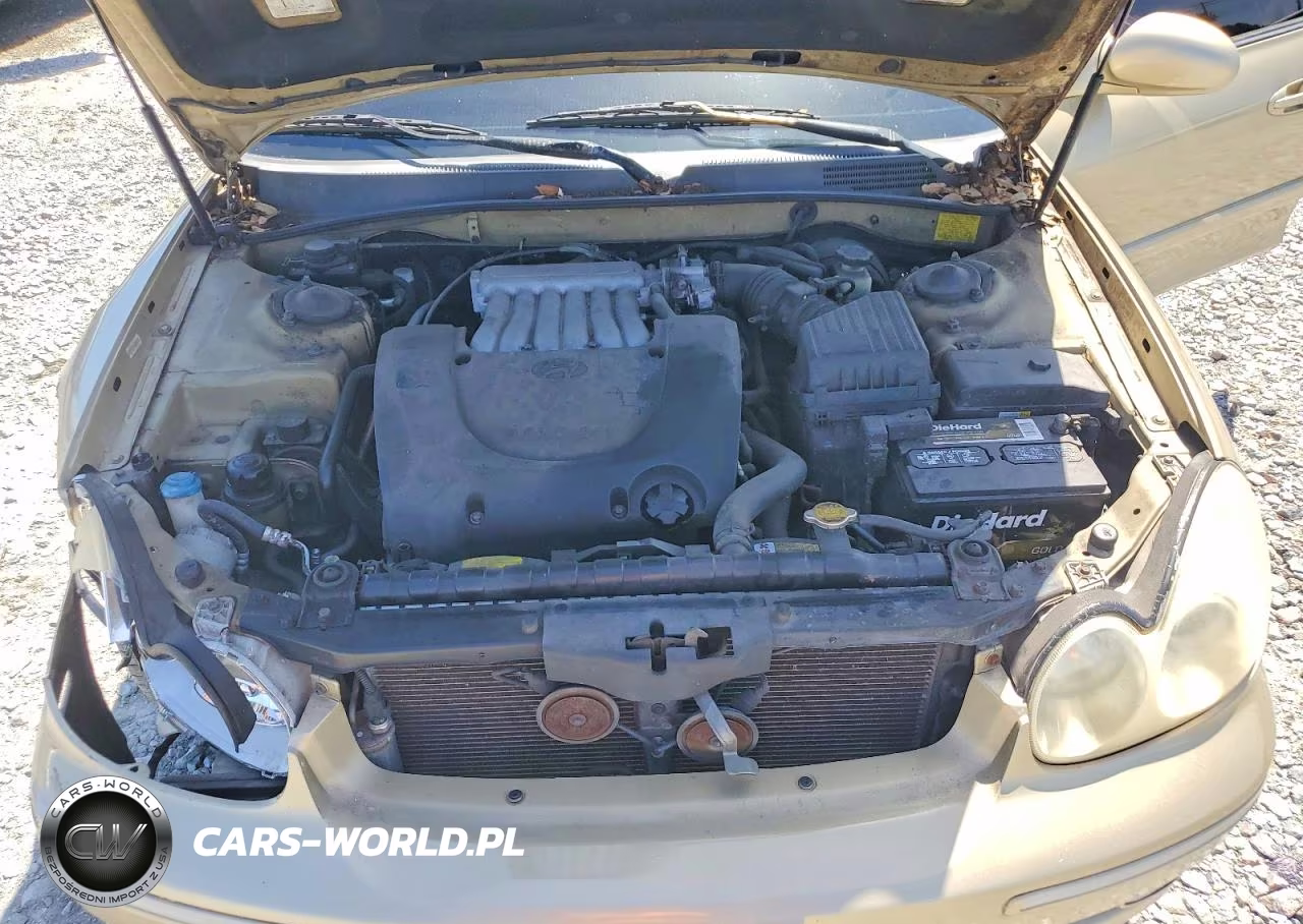 2004 Hyundai Sonata V6 VIN:KMHWF25H44A940283 - 11