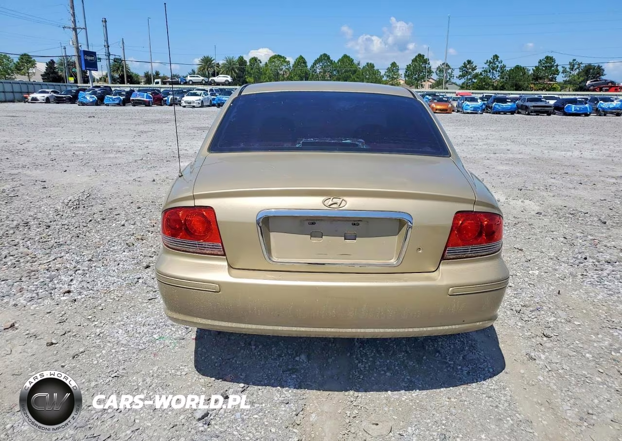 2004 Hyundai Sonata V6 VIN:KMHWF25H44A940283 - 6