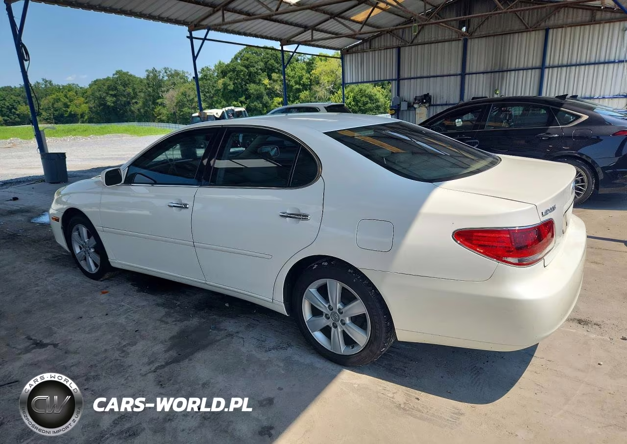 2005 Lexus Es 330 VIN:JTHBA30G055123858 - 2