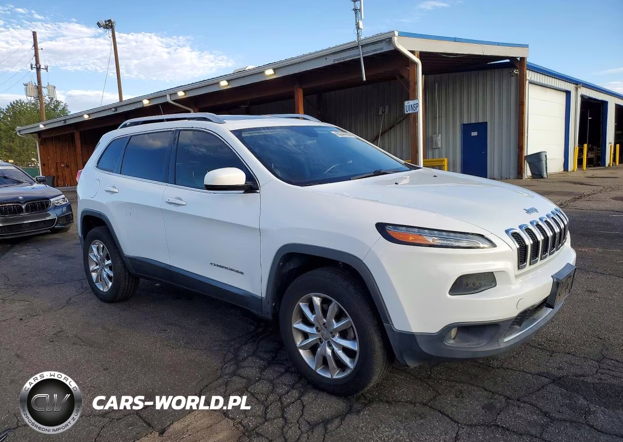 2014 Jeep Cherokee Limited VIN:1C4PJMDS1EW190068 - 4
