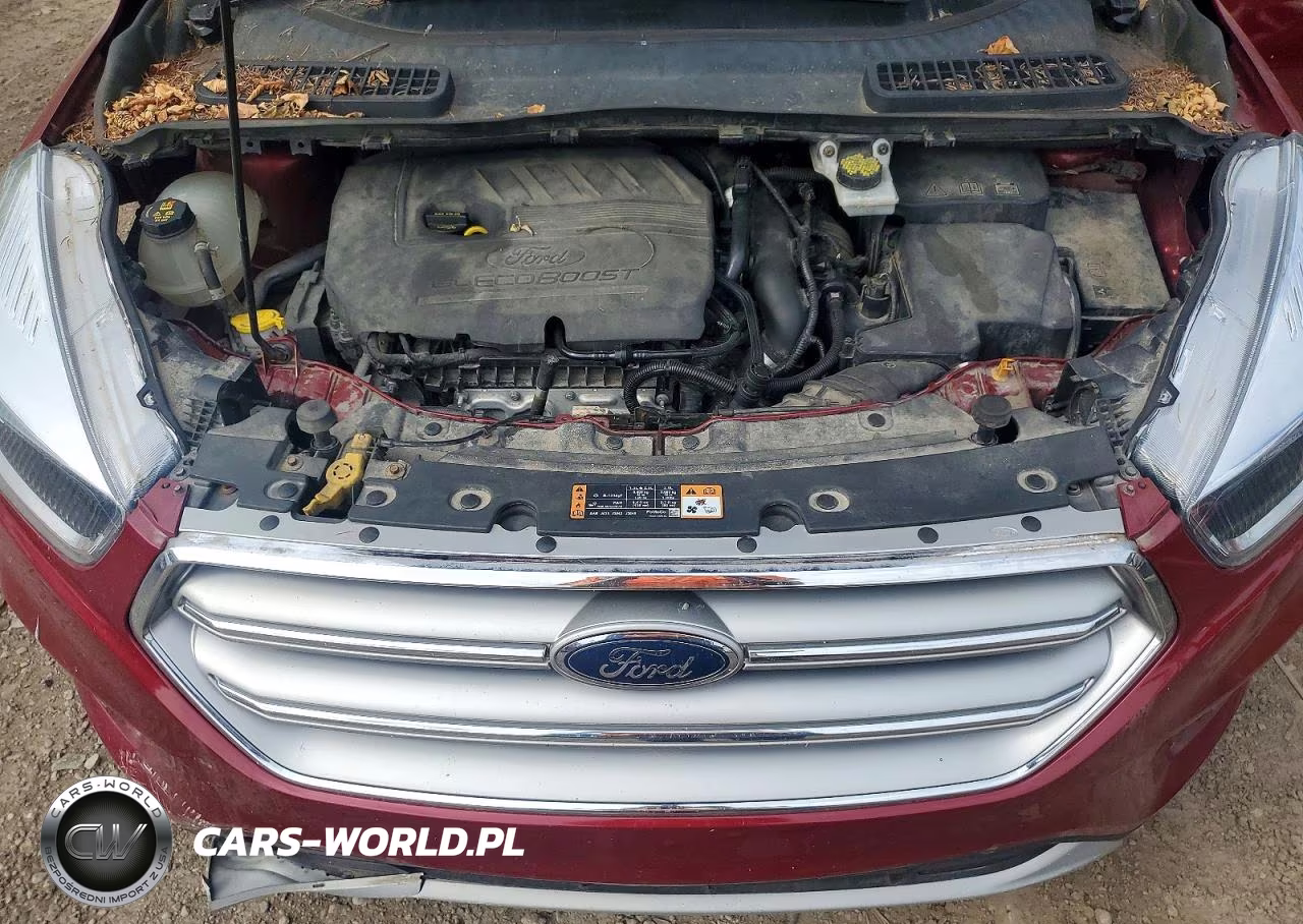 2017 Ford Escape Se VIN:1FMCU0GD9HUD52021 - 12
