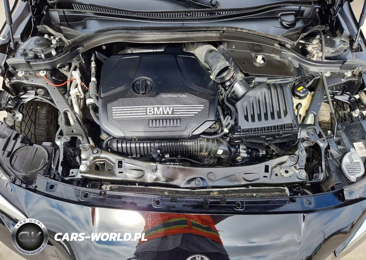 2021 BMW 228I Gran Coupe xDrive VIN:WBA73AK00M7H47345 - 11