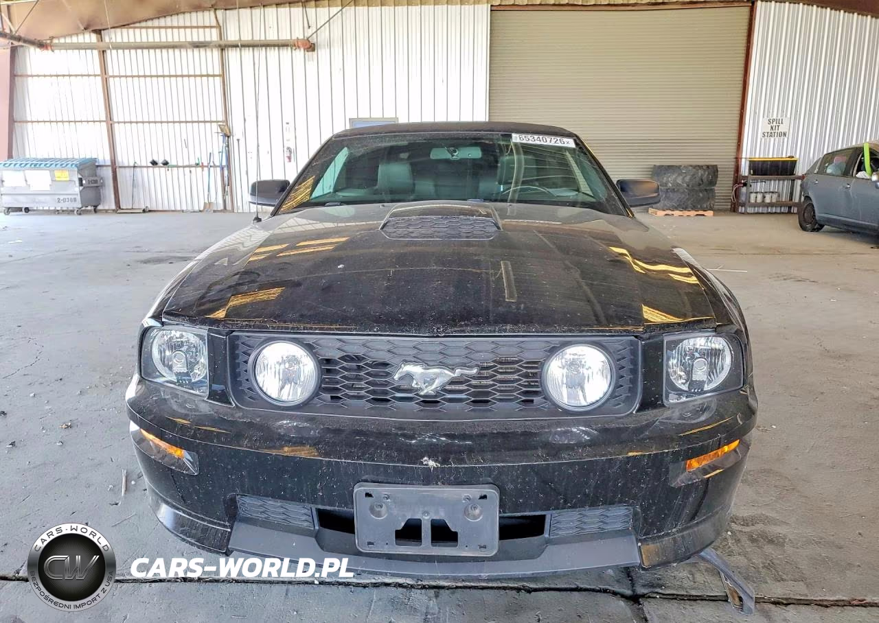 2008 Ford Mustang Gt VIN:1ZVHT85H185147589 - 5