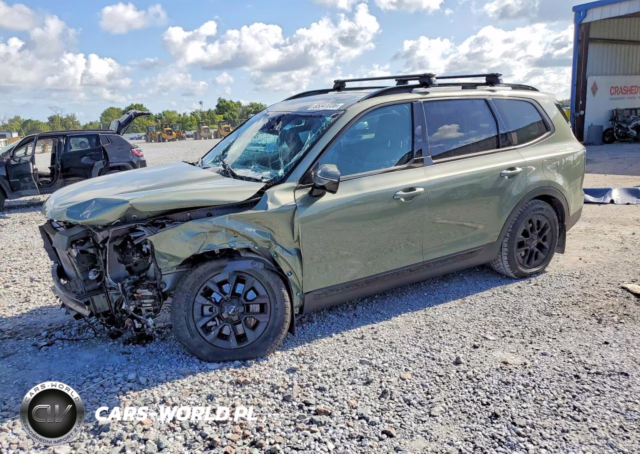 2024 Kia Telluride Sx X-Pro